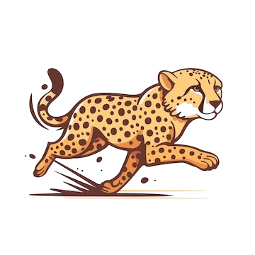 Cheetah Image